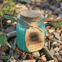 Apple and Cinnamon Soy Pot of Fragrance Candles