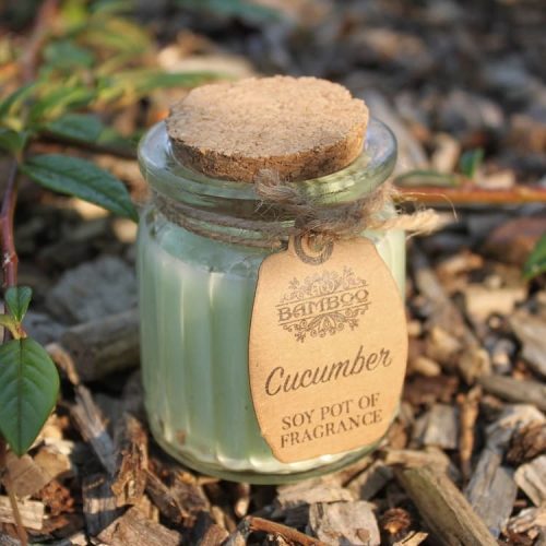 Cucumber Soy Pot of Fragrance Candles 2