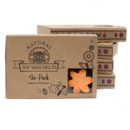 Mango Fruits Luxury Soy Wax Melt