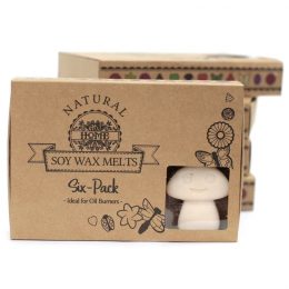 Vanilla Nutmeg Luxury Soy Wax Melts