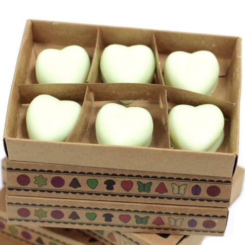 Watermelon Fresh Luxury Soy Wax Melt 2