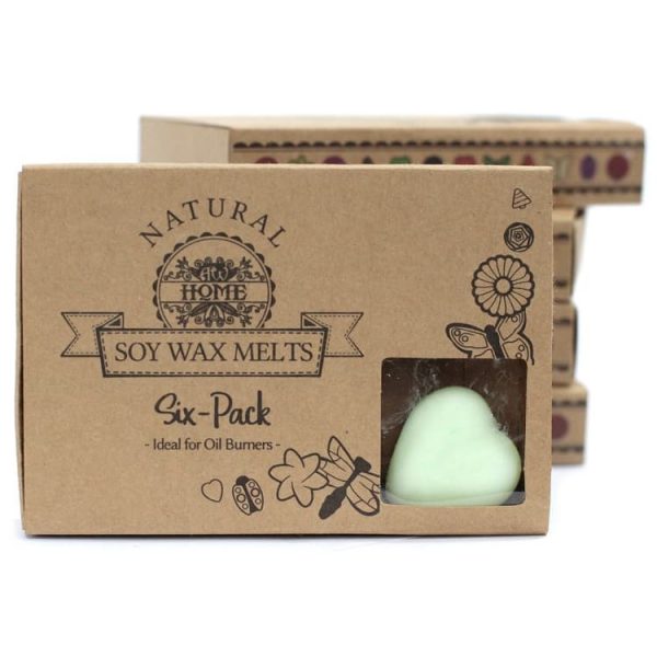 Watermelon Fresh Luxury Soy Wax Melt