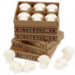 White Musk Luxury Soy Wax Melt