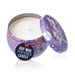 Raspberry Art Tin Candle